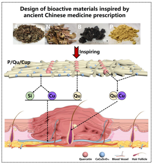 受中醫啟發的燒傷皮膚毛發再生多功能生物材料的設計
