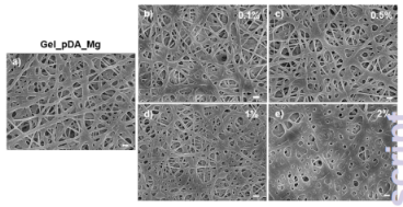 Biomater. Sci.：含硫酸軟骨素的鎂礦化抗菌納米纖維敷料的傷口愈合特性—共混和核-殼