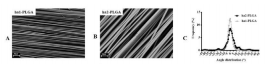 Cells：兩種不同直徑的定向電紡PLGA纖維用于肌腱再生