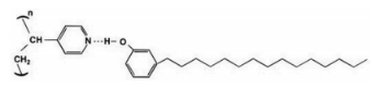 Polymer：基于聚（4-乙烯基吡啶）和3-十五烷基苯酚的氫鍵超分子梳形聚合物的電紡性