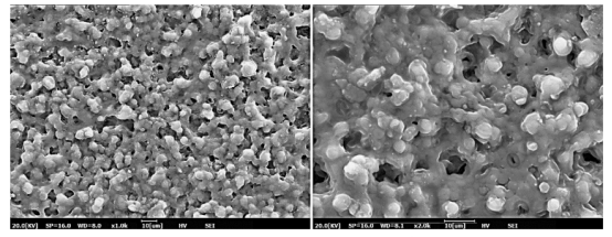 Spectrochim. Acta. A Mol. Biomol. Spectrosc.：環磷酰胺取代的含銥（III）配合