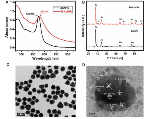 Journal of nanoscience and nanotechnology：Pt@AuNPs摻雜3D電紡聚己內酯海綿的制備及其生物醫學應用