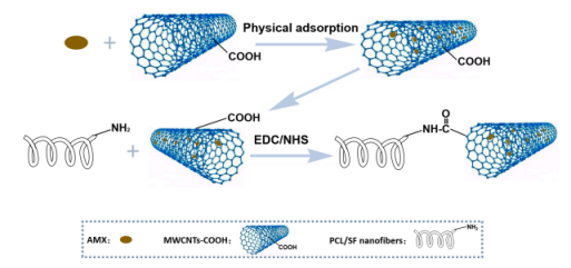 同濟大學湯睿International Journal of Nanomedicine：具有持續抗菌和與組織匹配的