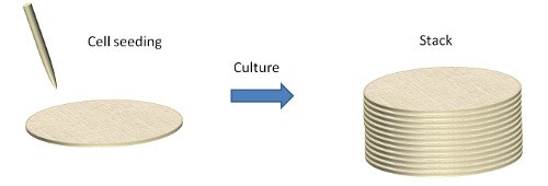 层层堆叠的3D纳米纤维