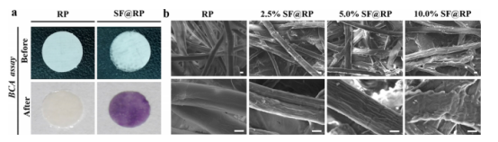 西南大學余玲&李長明ACS Appl. Bio Mater.：一步浸涂法制備核殼型絲素@宣紙纖維支