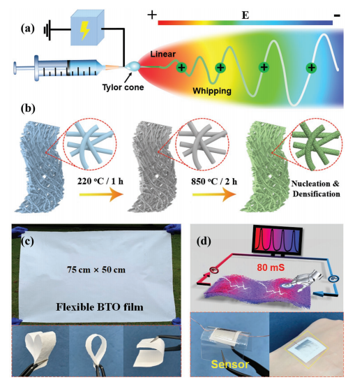 钙钛矿纳米纤维的研究与发展