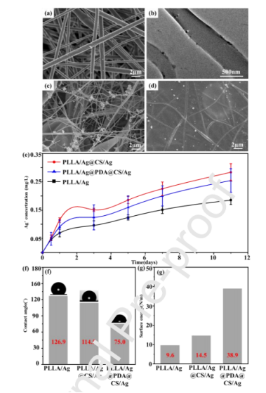 新疆師范大學王英波Int. J. Biol. Macromol.：內外銀納米粒子負載聚乳酸電紡纖維的