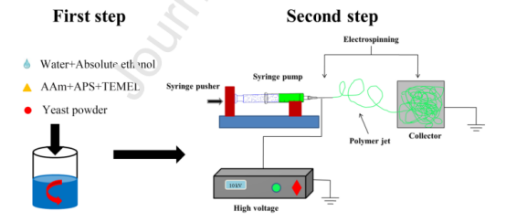 天津工業大學張青松Mater. Sci. Eng. C：靜電紡絲纖維固定化酵母的方法及其性能評估