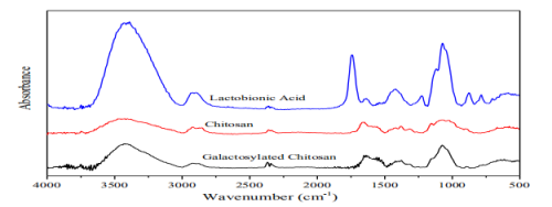 Int. J. Biol. Macromol.：半乳糖基化PCL/CS支架的制備及其在肝組織工程中的應用