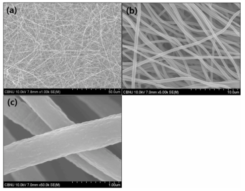 Mol. Catal.：鎳摻雜碳納米纖維的制備及其電化學性能研究