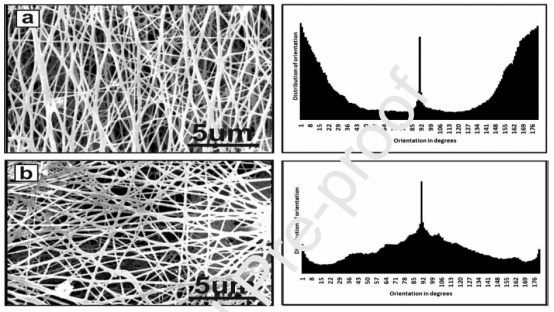 Int. J. Biol. Macromol.：心脏组织工程用PU/Cs/CNT纳米纤维支架的制备与表征-MECC