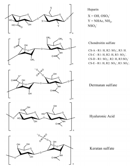 Pharmaceutics：多糖基材料的物理制備方法及其生物醫學應用
