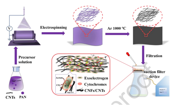 北京科技大學李從舉：BEO-CNFs/CNTs的制備及其在微生物燃料電池中的應用