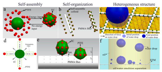 西南科技大学林晓:异质结构电纺聚甲基丙烯酸甲酯纤维基膜可实现油水乳液的全粒径分离