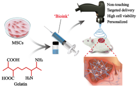 Adv. Healthcare Mater.：原位细胞静电纺丝作为干细胞递送系统，用于皮肤创面修复的治疗622.png