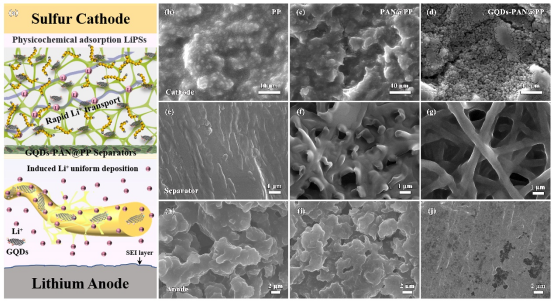 西安理工大学杨蓉教授团队：石墨烯量子点作为高稳定性和持久寿命锂硫电池的亲硫和亲锂介质1745.png