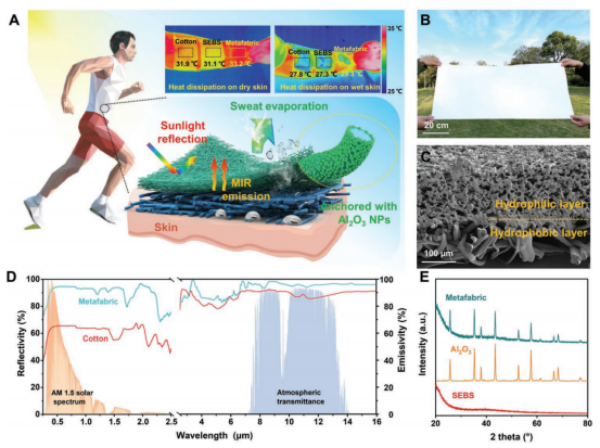 江南大学吕鹏飞&魏取福：具有Janus润湿性的动态可调亚环境日间辐射冷却超织物
