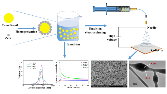 浙江大学张辉教授：乳液静电纺丝制备核壳玉米醇溶蛋白纳米纤维，稳定包封山茶油540.png