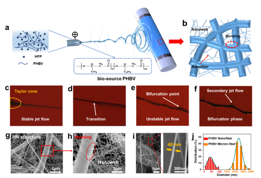 ACS Appl. Mater. Interfaces发表南方科技大学王湘麟&陈柔羲团队及邓巍巍团队合作成果：生物可降解电纺高性能空气过滤膜786.png