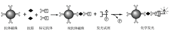 磁性微球-4.png