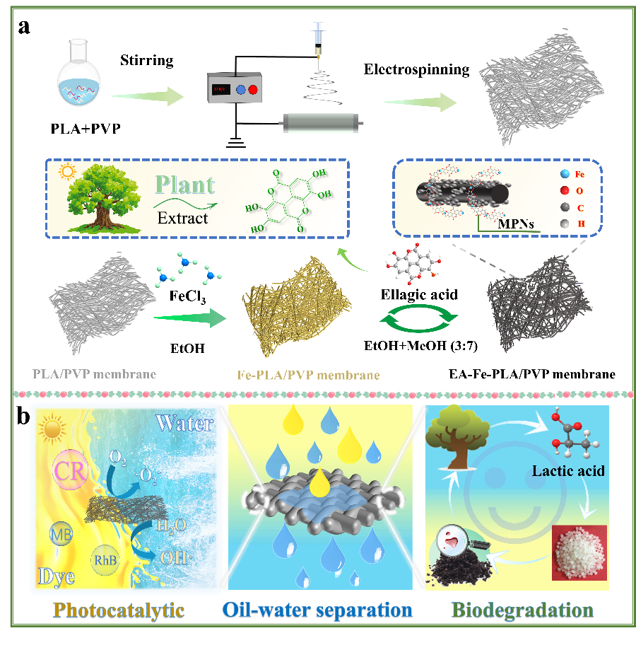 image (1).png