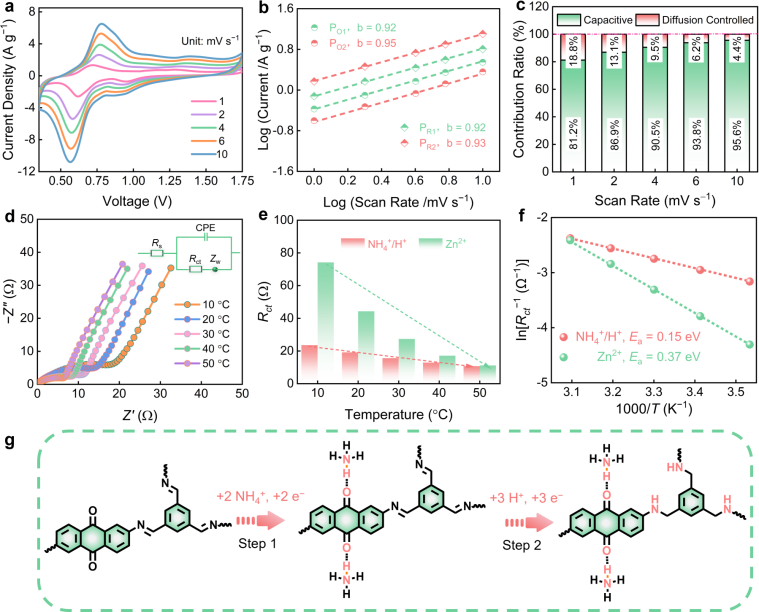 image (4).png