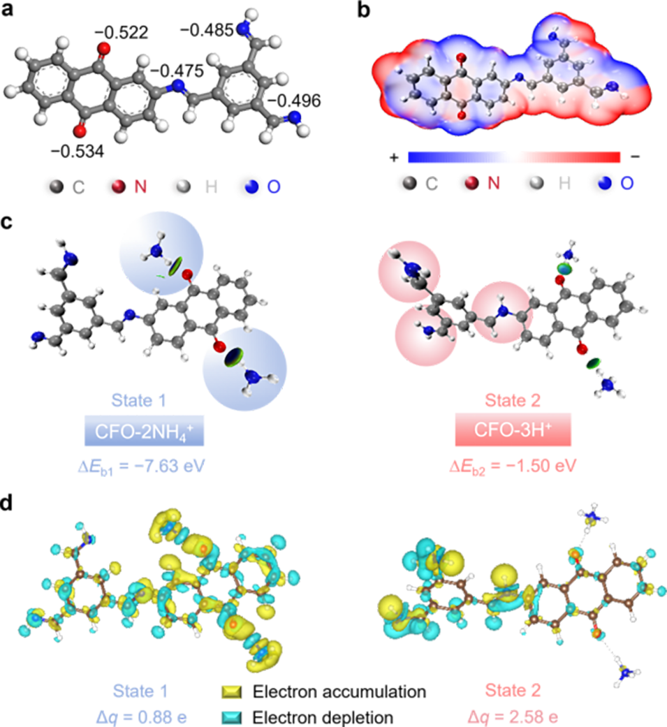 image (5).png