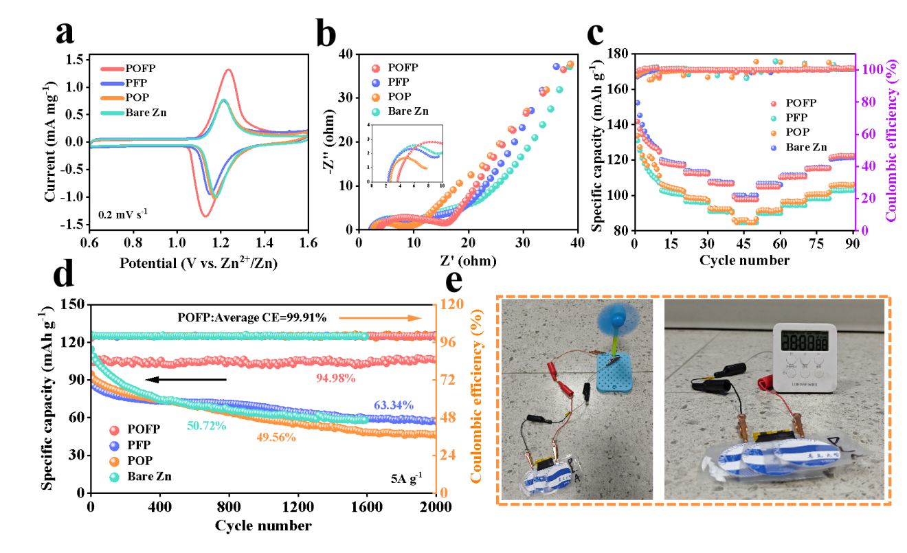 image (3).png