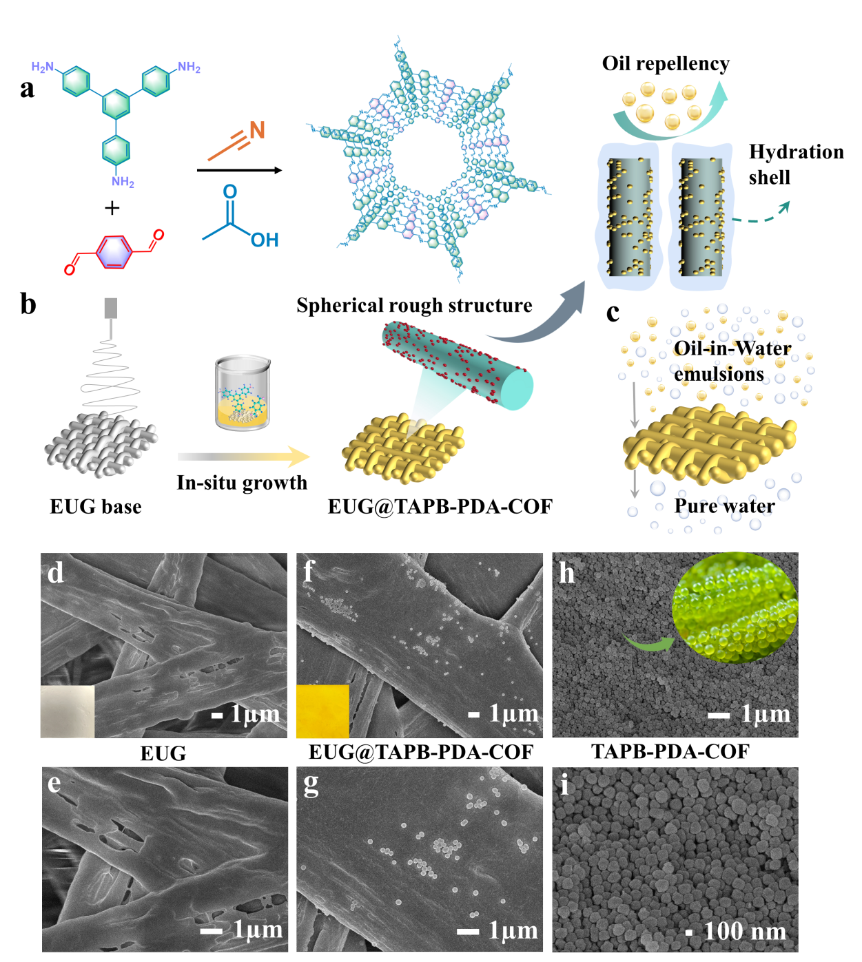 image (1).png