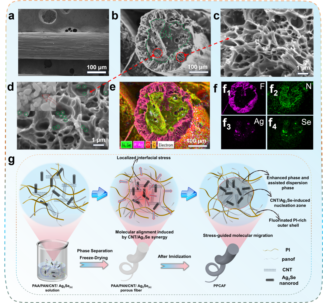 image (1).png image (1).png