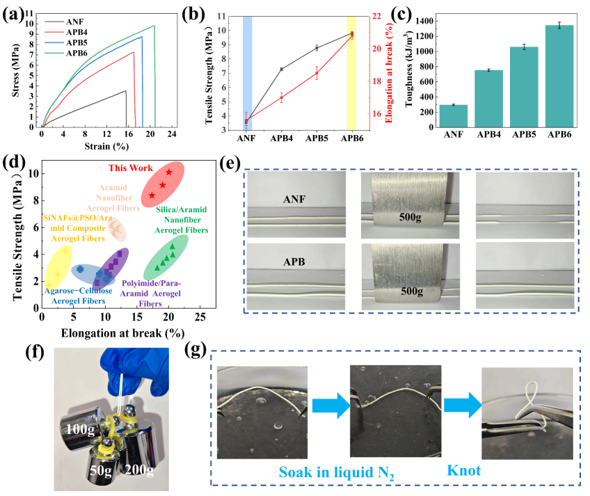 image (3).png image (3).png