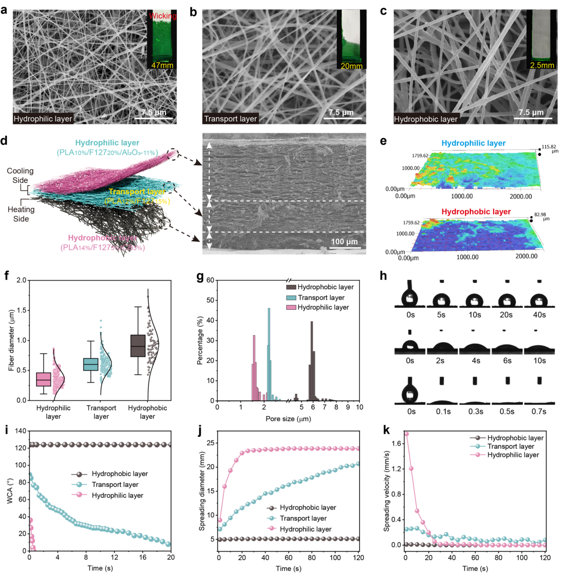 image (2).png image (2).png