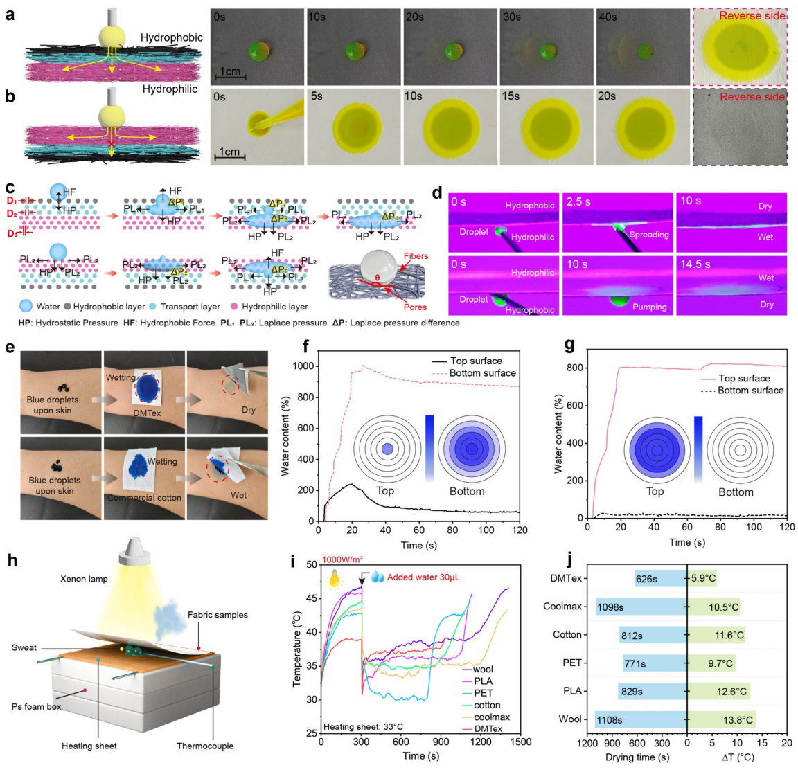 image (4).png image (4).png