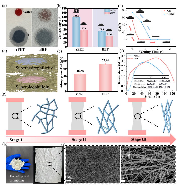 image (3).png image (3).png