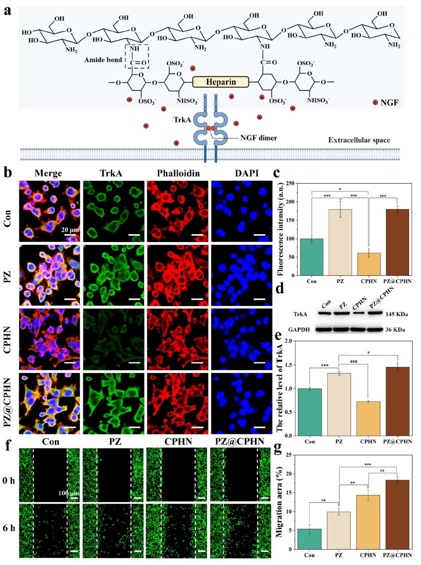 image (6).png image (6).png