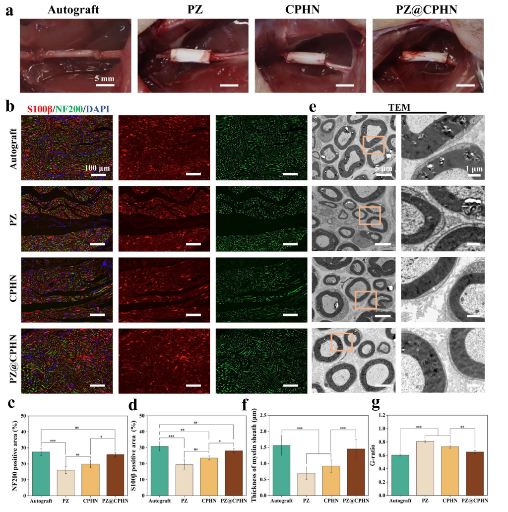 image (7).png image (7).png