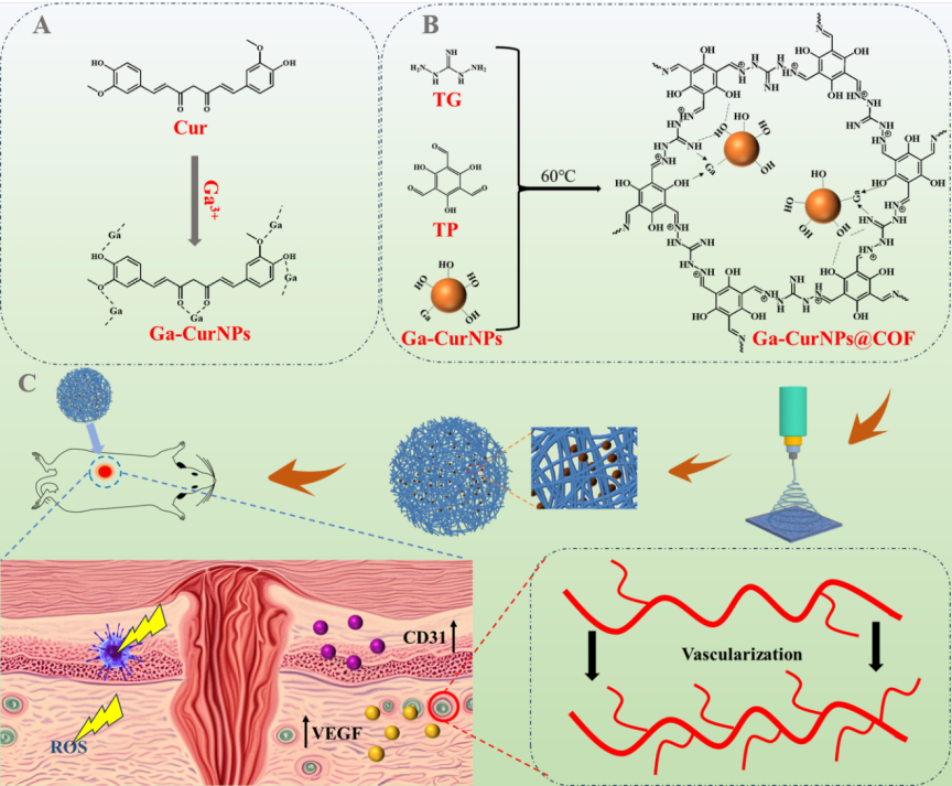 image (5).png image (5).png