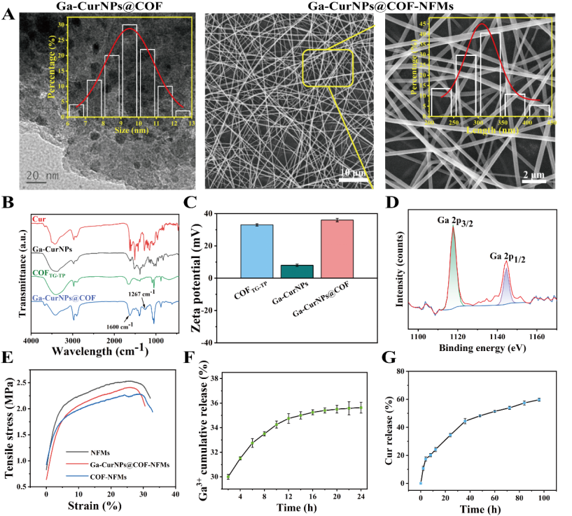 image (6).png image (6).png