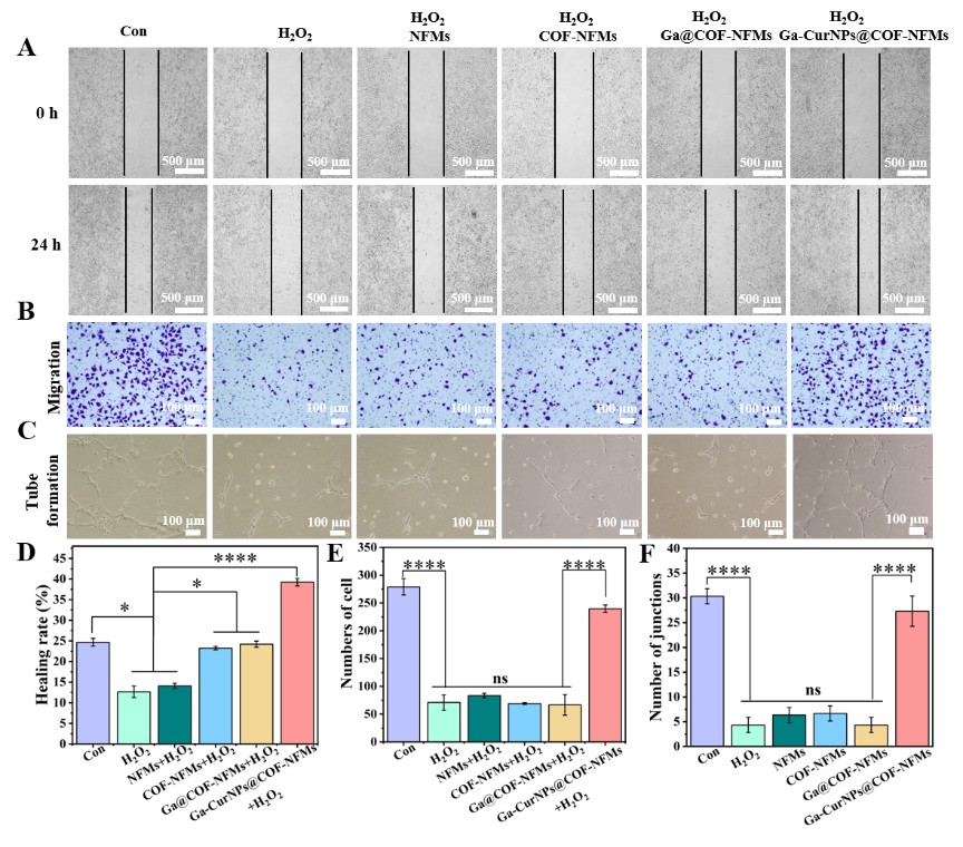 image (7).png image (7).png