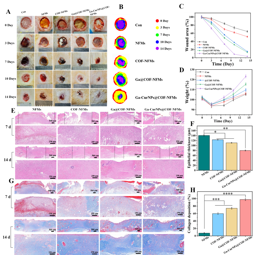 image (8).png image (8).png