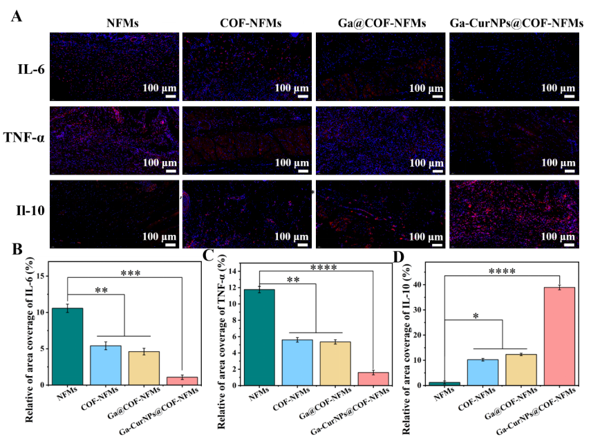 image (9).png image (9).png