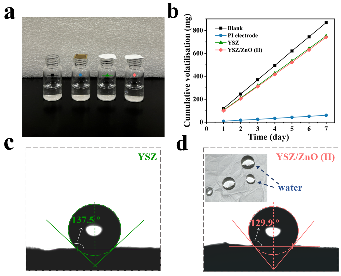 image (2).png image (2).png