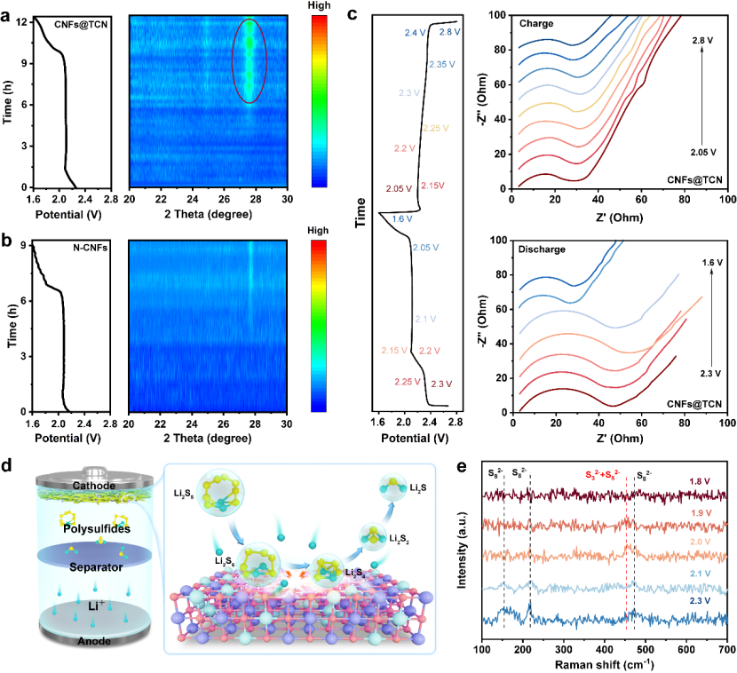 image (5).png image (5).png