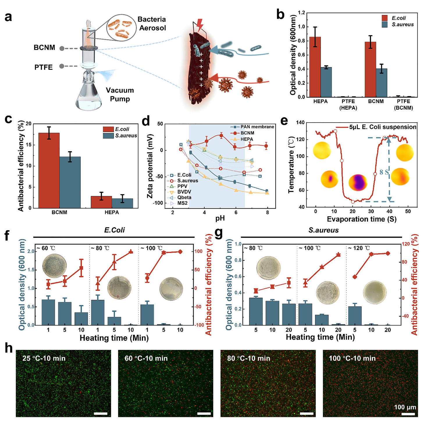 image (4).png image (4).png