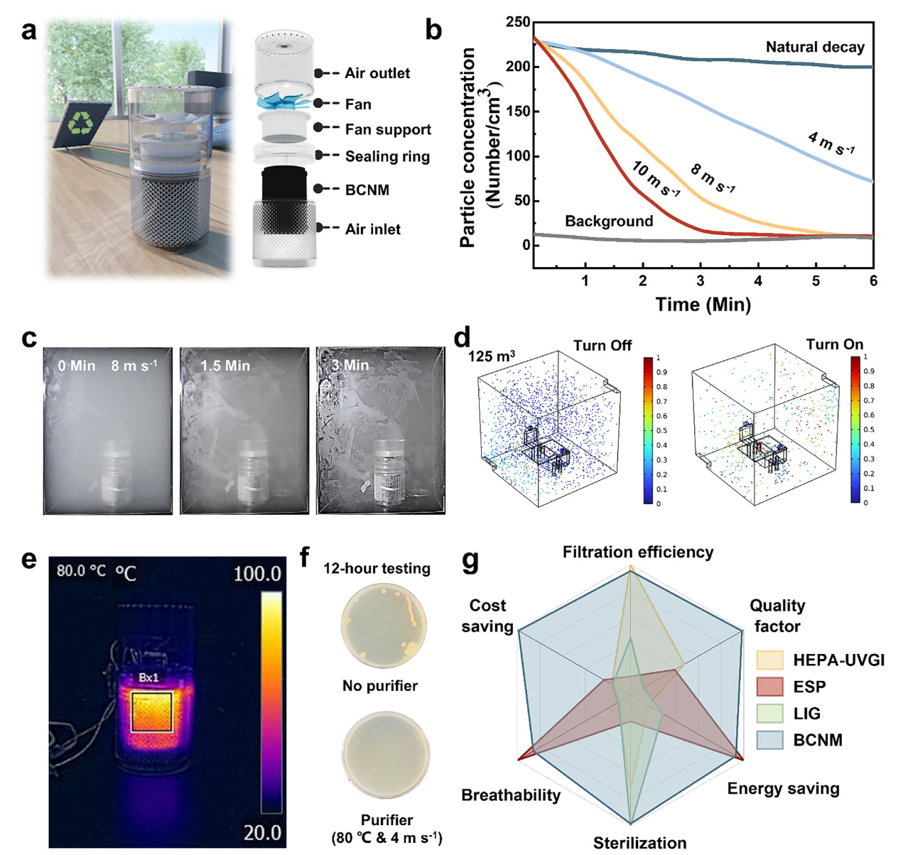 image (5).png image (5).png