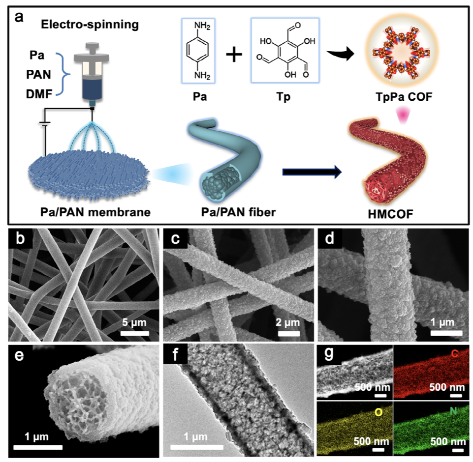 image (3).png image (3).png