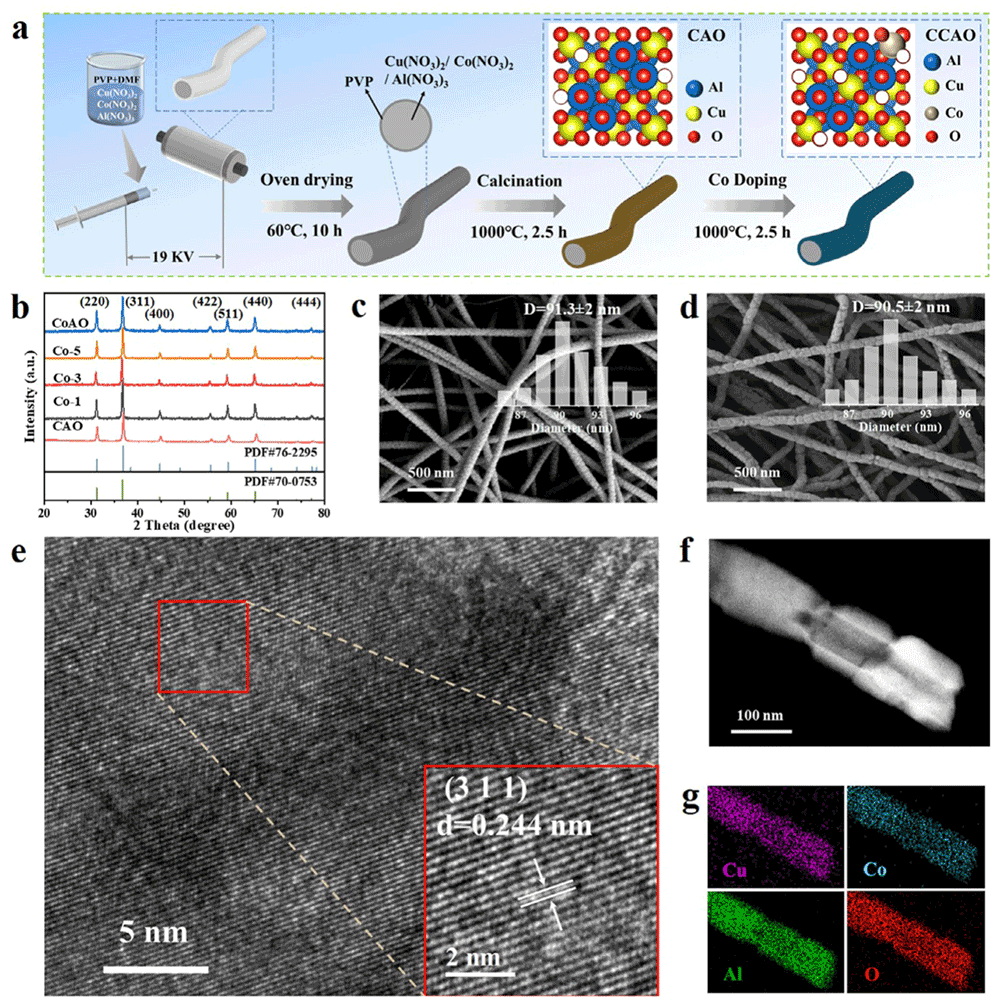 image (7).png image (7).png