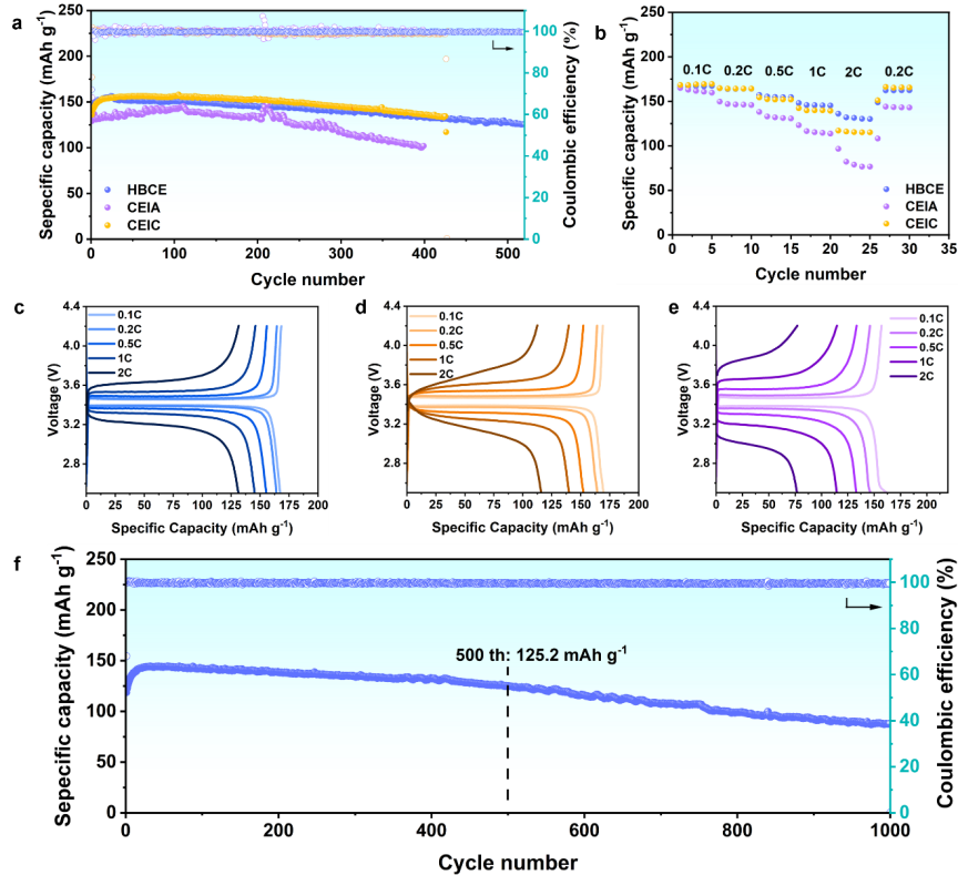 image (3).png image (3).png