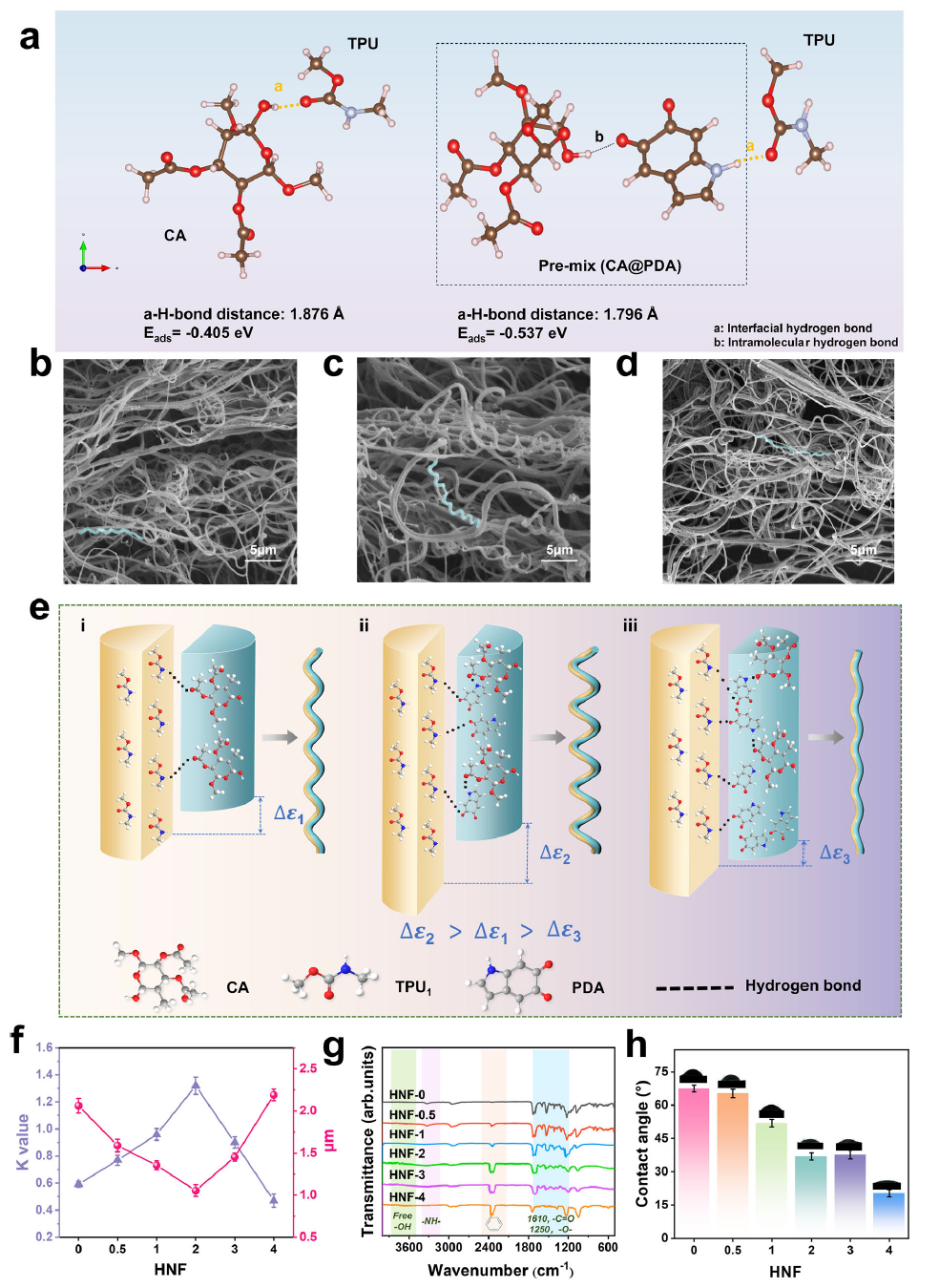 image (2).png image (2).png