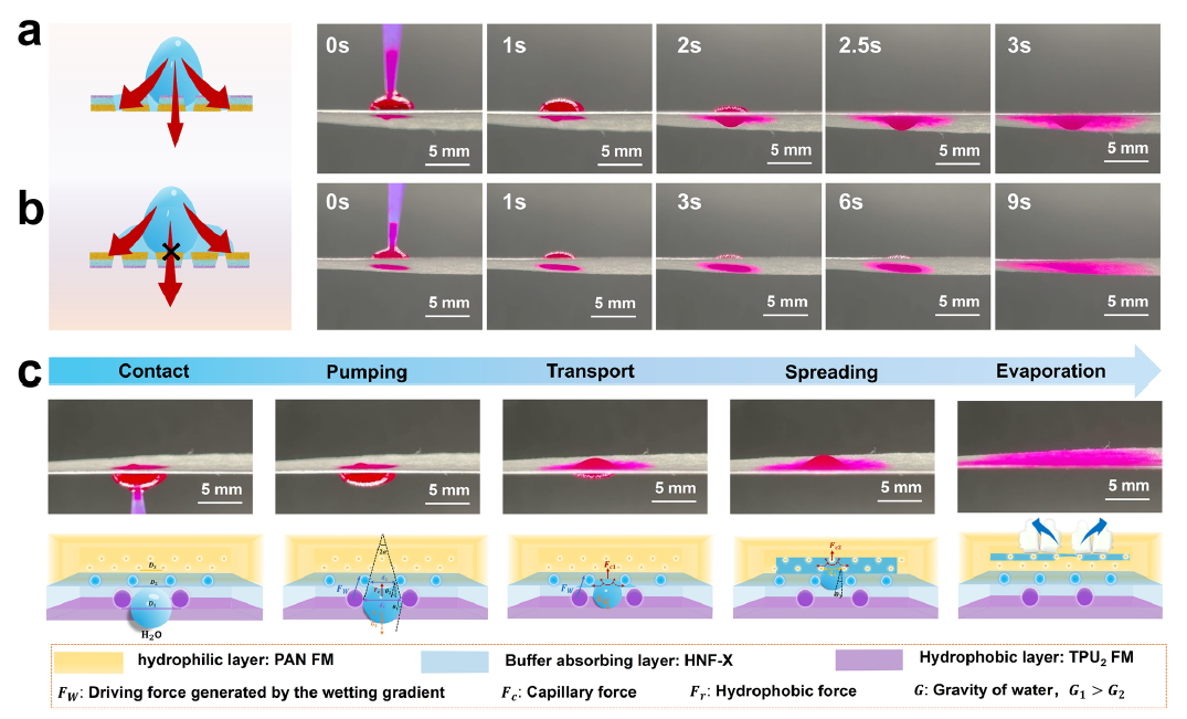 image (4).png image (4).png